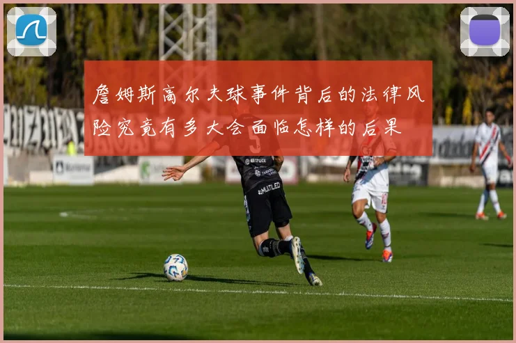 詹姆斯高尔夫球事件背后的法律风险究竟有多大会面临怎样的后果
