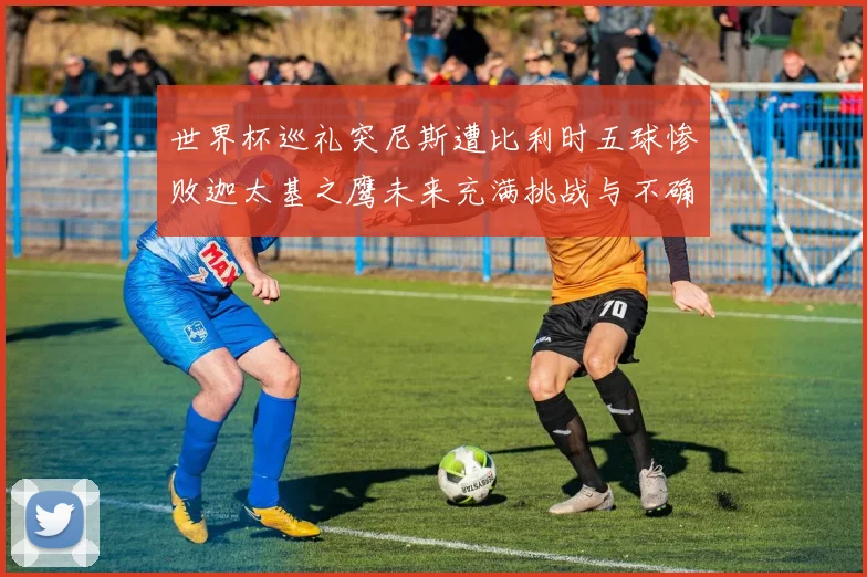 世界杯巡礼突尼斯遭比利时五球惨败迦太基之鹰未来充满挑战与不确定性