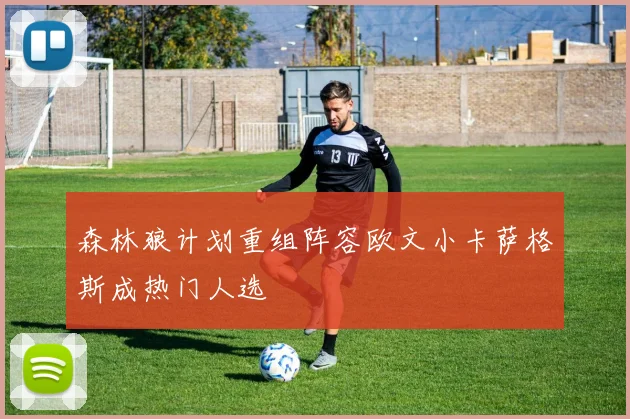 森林狼计划重组阵容欧文小卡萨格斯成热门人选