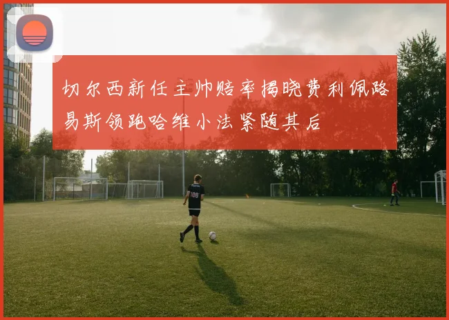 切尔西新任主帅赔率揭晓费利佩路易斯领跑哈维小法紧随其后